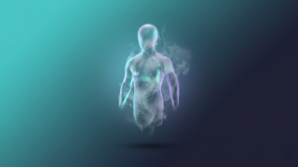 LLMs are ghosts, not animals.